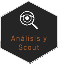 icono-analisis-scout